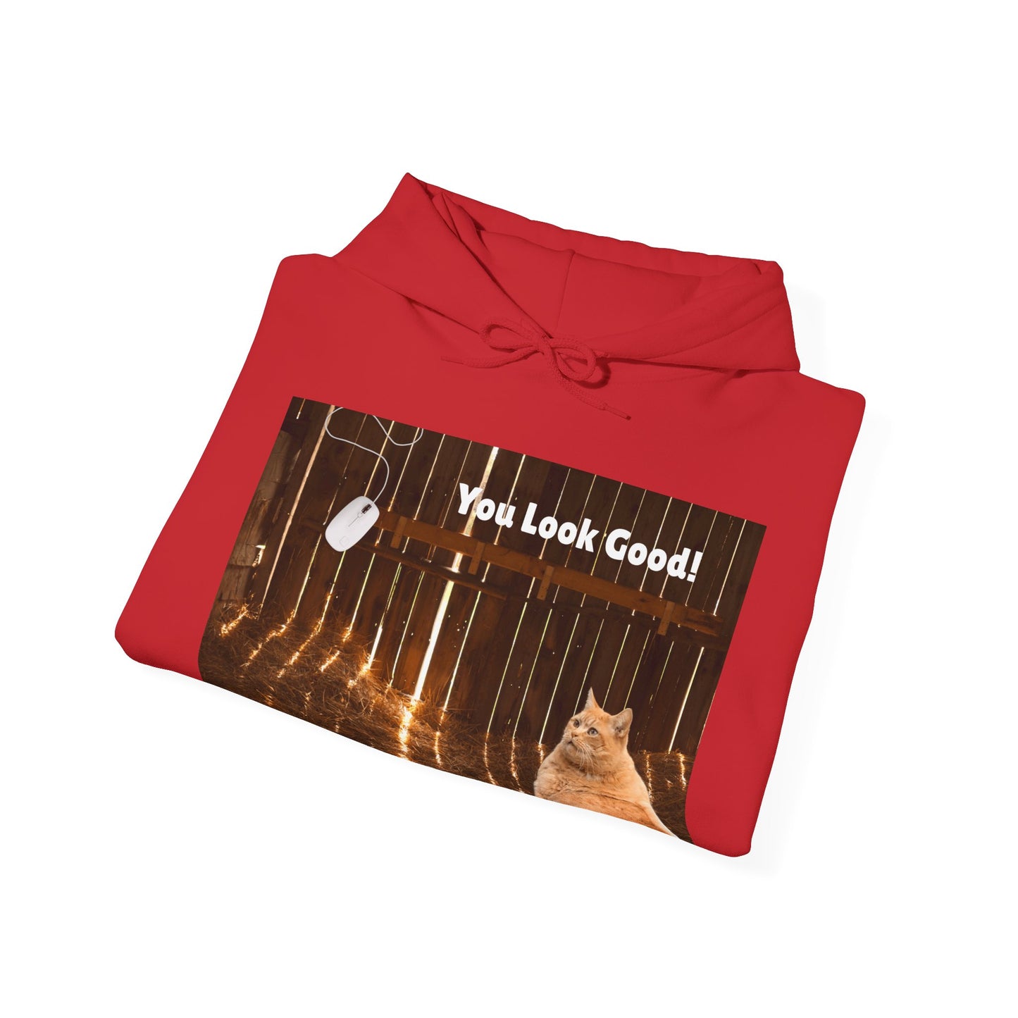 Cozy Cat Vibes Hoodie - You Look Good Unisex Sweatshirt