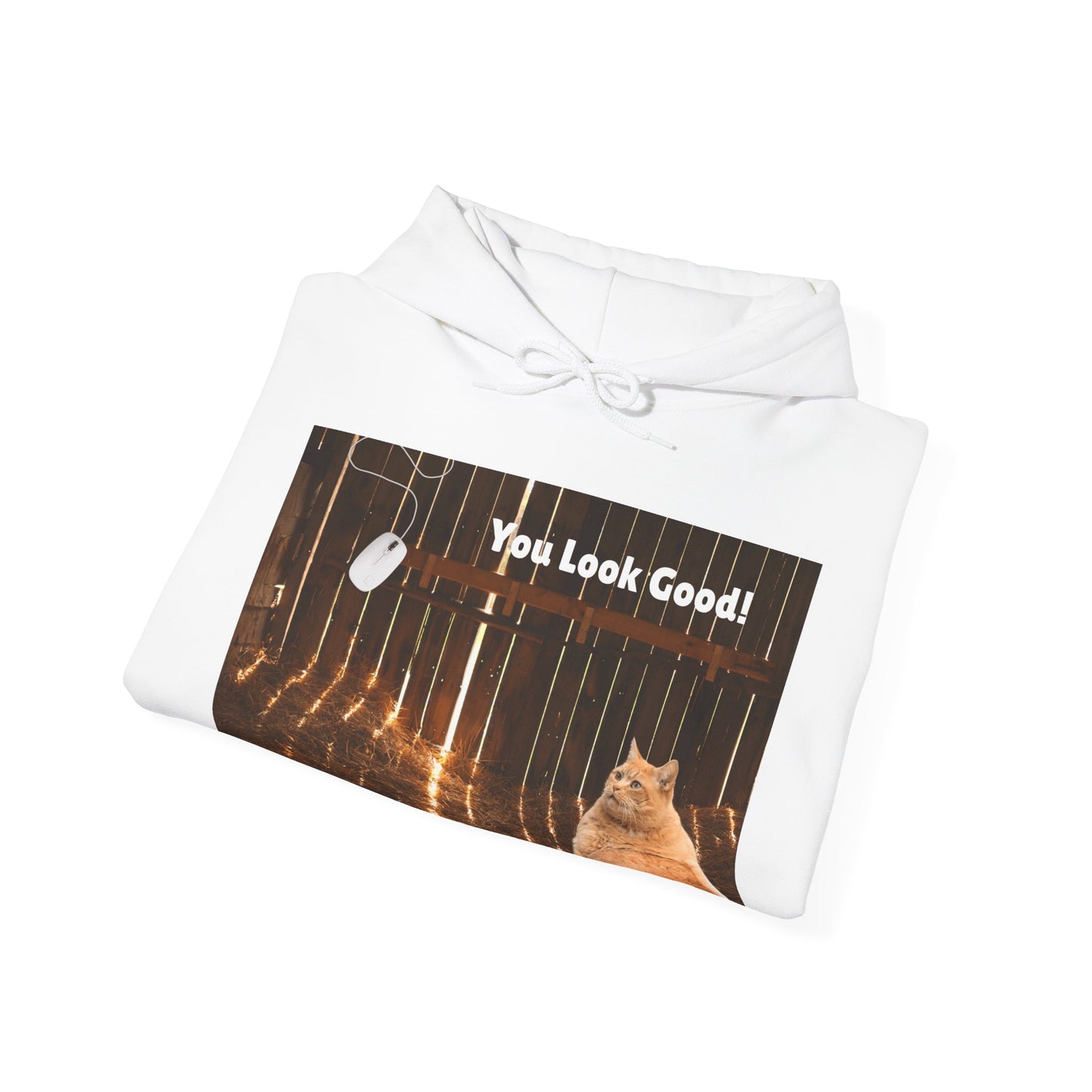 Cozy Cat Vibes Hoodie - You Look Good Unisex Sweatshirt