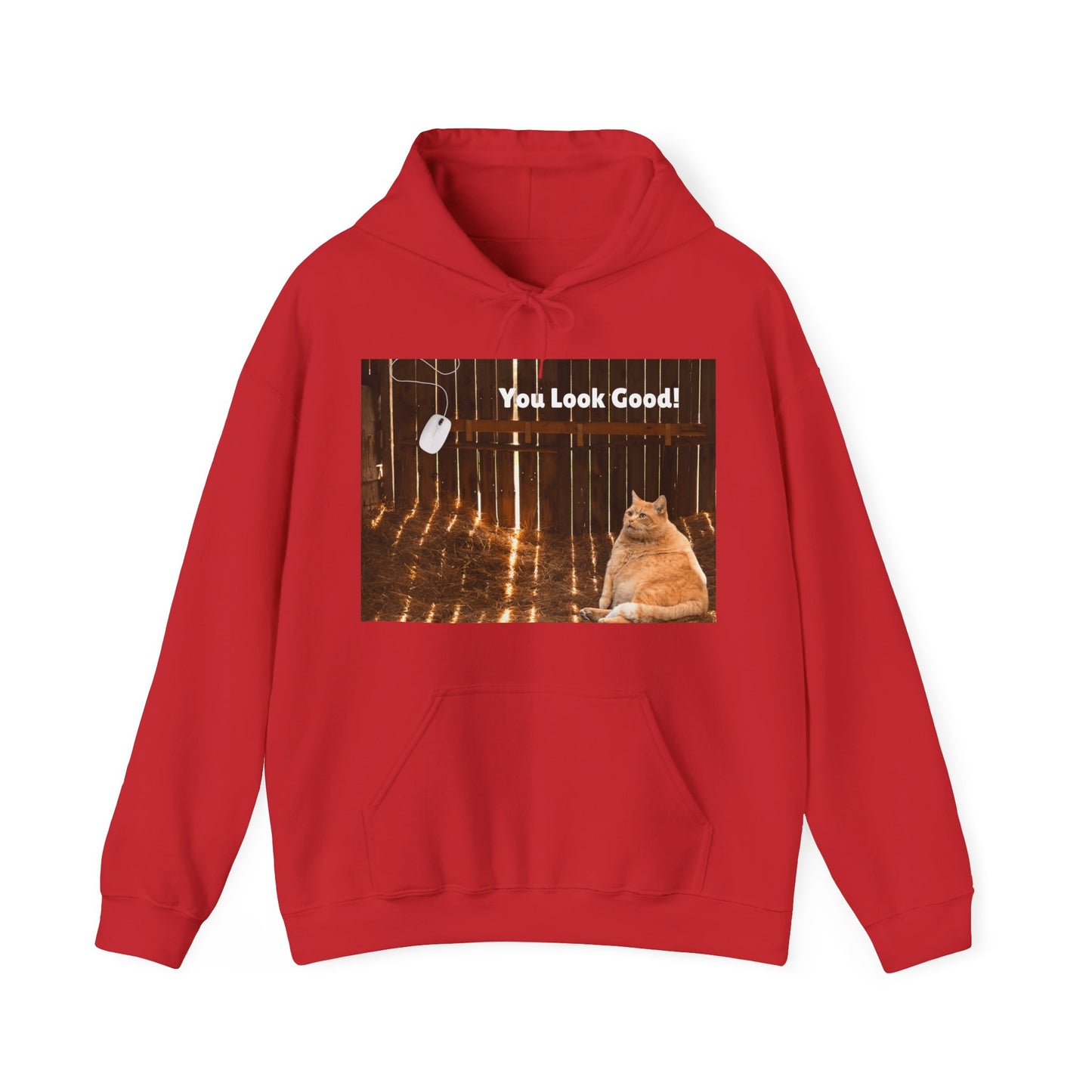 Cozy Cat Vibes Hoodie - You Look Good Unisex Sweatshirt